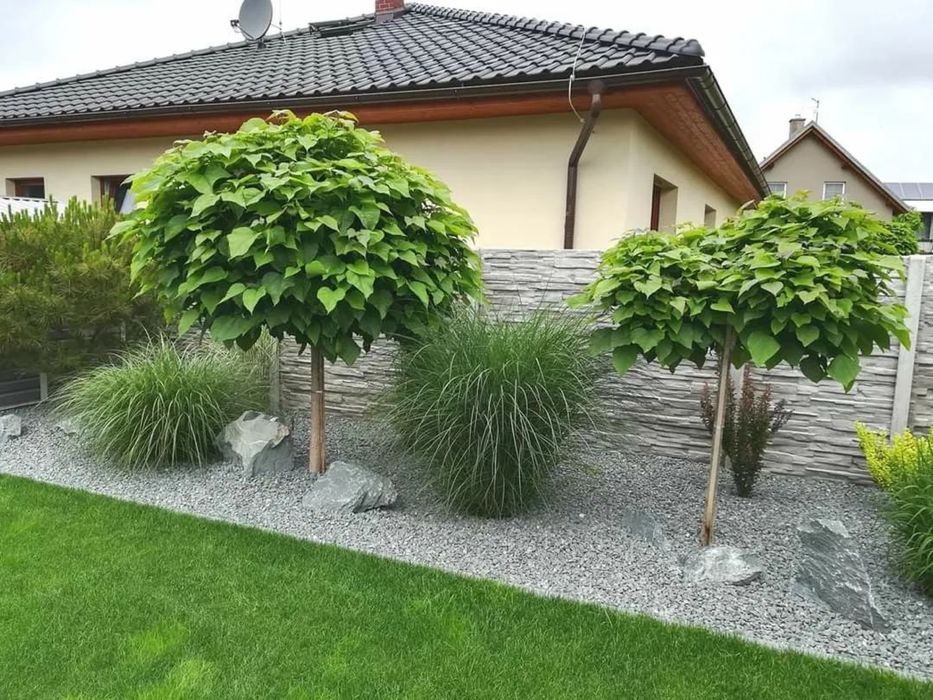 Ландшафтный дизайн,озеленение,посадка,пересадка