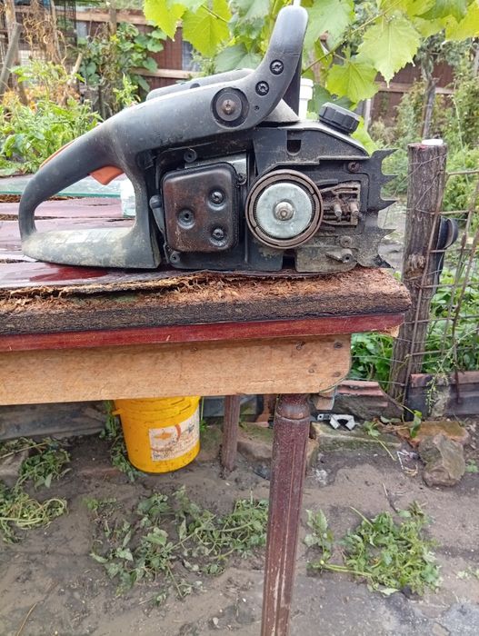 De vânzare 2 drujba schimb cu 2 purcei