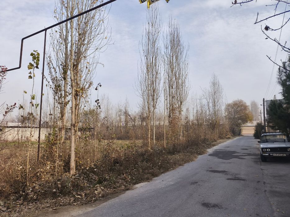 Chek zudlik bn sotiladi