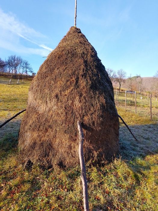 Vând 7 căpițe de fân