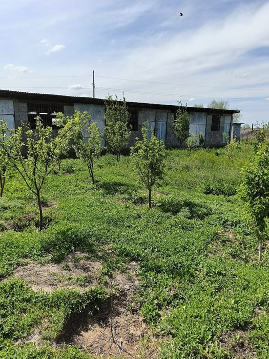 Дом жамбыл савхоз