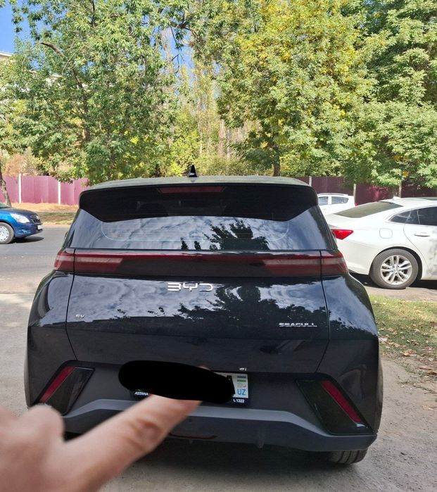 Byd seagull sotiladi