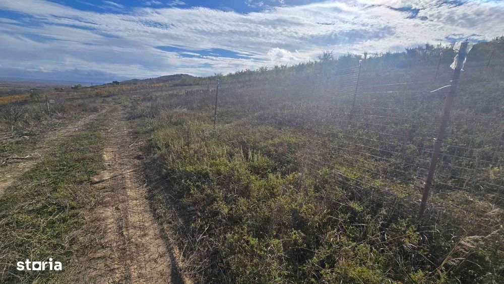 Teren Tomești- Chiparesti , jud Iași