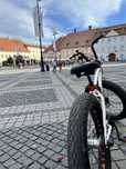 Pegas Cuterzator ev fat bike (editie limitata)