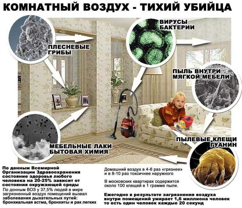 Стирка ковров в Ташкенте гипоаллергенная скидка10% бесплатная доставка