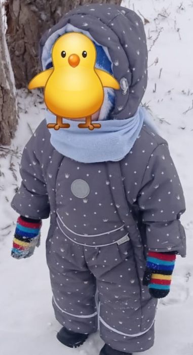 Комбез зимний, съёмный мех, можно осенью носить