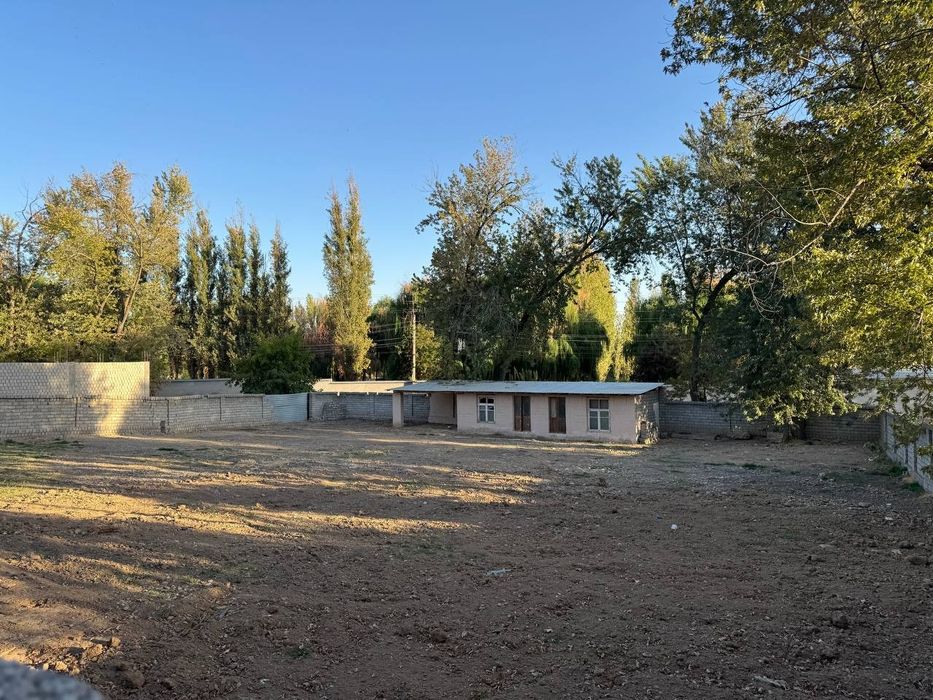 Yer sotila xasanboy kensoyda noturar