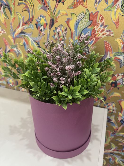 Искусственные растения