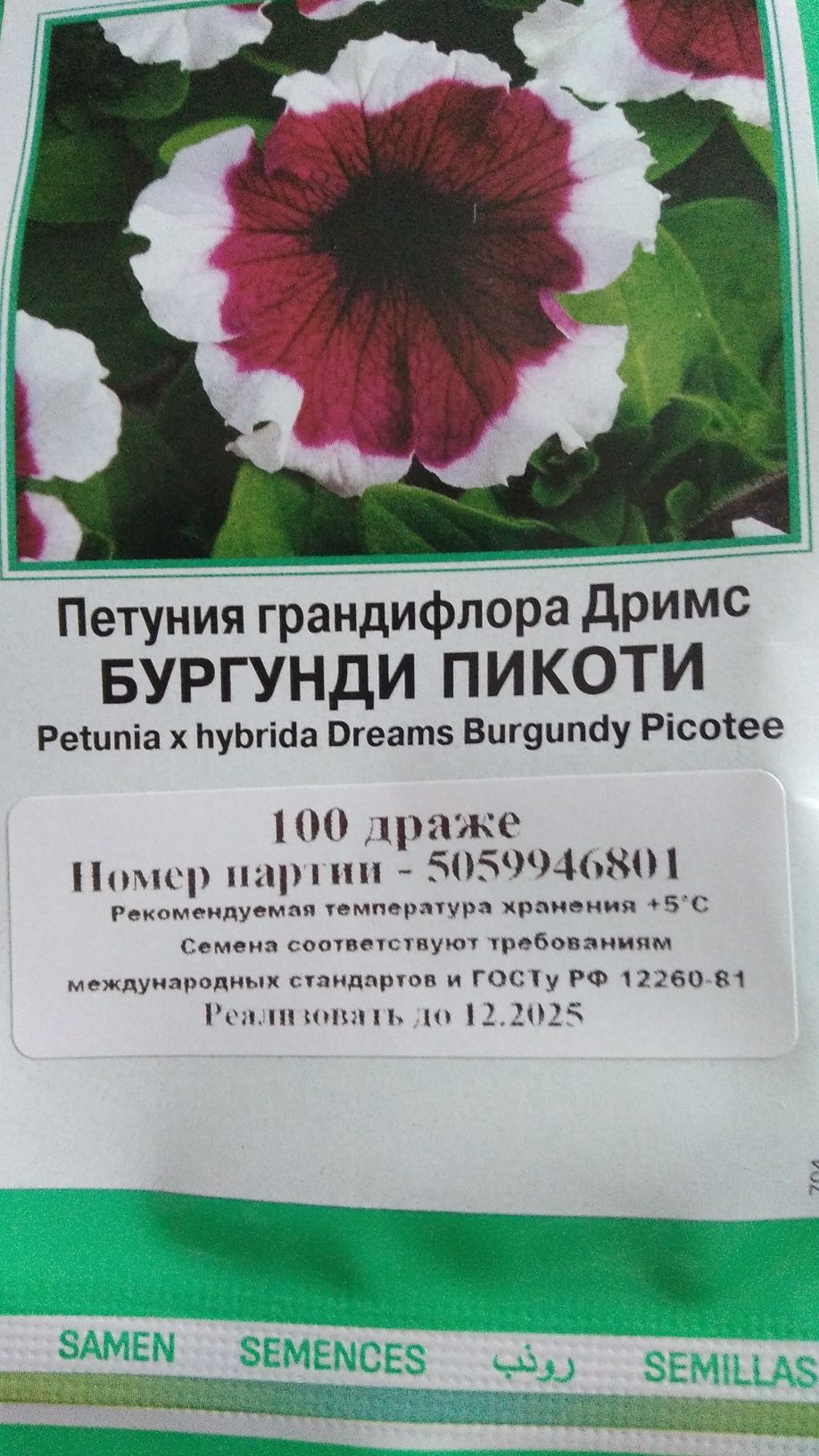 Продам рассаду петуньи