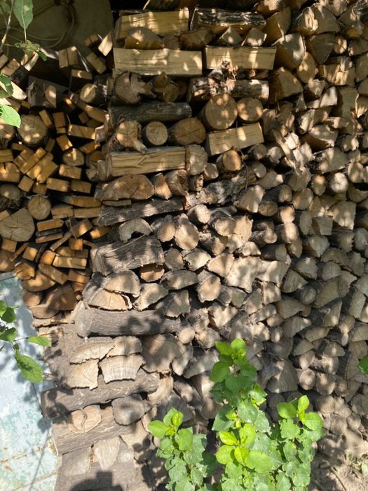 дрова карагач баня/шашлык