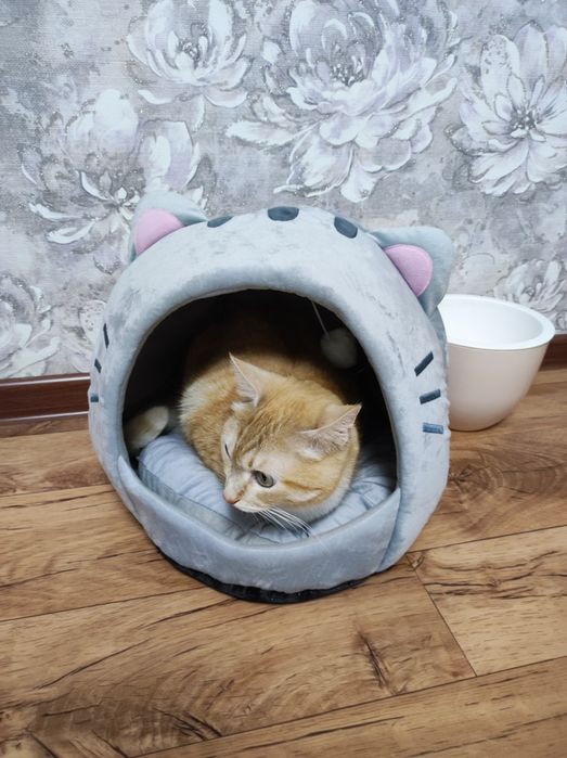 Домик для котенка или не большой кошечки новый