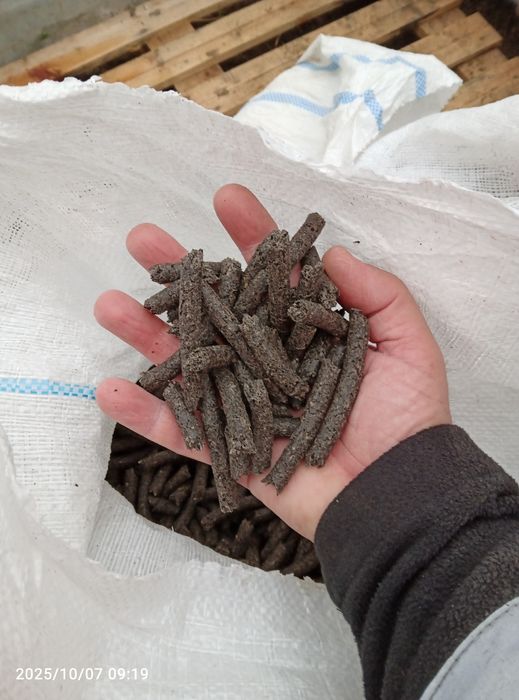 Șrot floarea soarelui (prima presa)