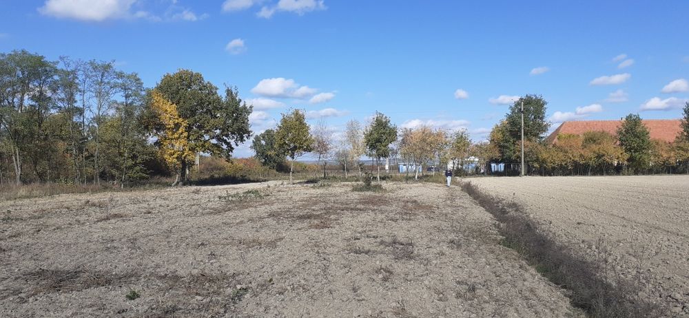 Teren intravilan comuna SACADAT, sat BORȘA, jud BIHOR