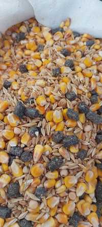 Amestec cerealier pt măcinat/furaj :porumb,orz,grâu,mazăre,srot floare