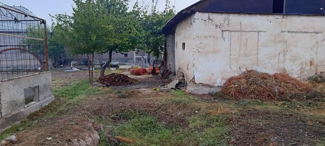 10 суток жой сотилади нархи келишилган холда