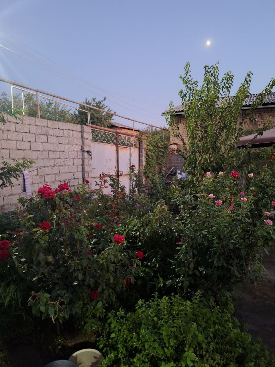 Arzon xovli sotiladi