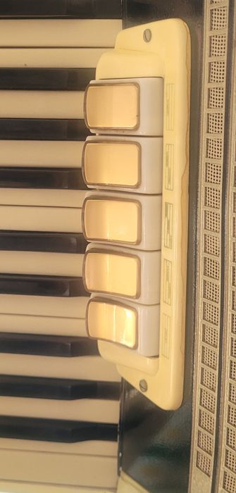 Акардиони в много добро състояние