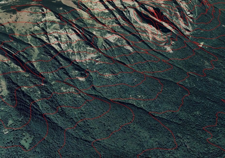 Servicii GIS & Cartografiere – QGIS 3.38