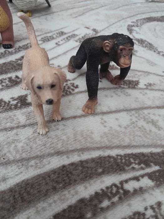 Детски сервиз,боулинг ,рингове