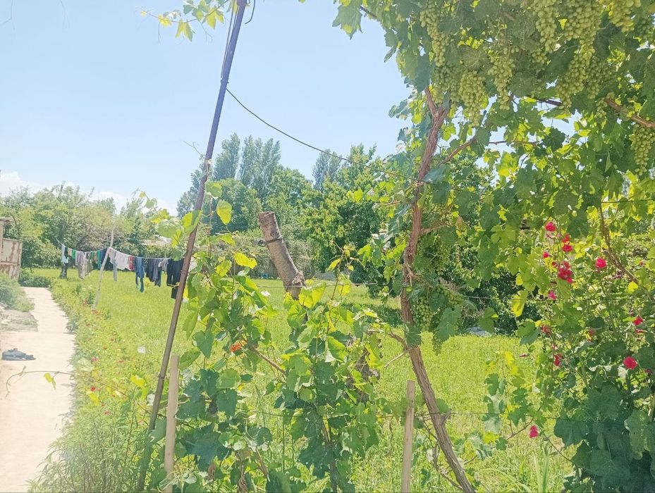 Сотилади 18 сотих,  Янги тошкент тарафда жуда кулай локация