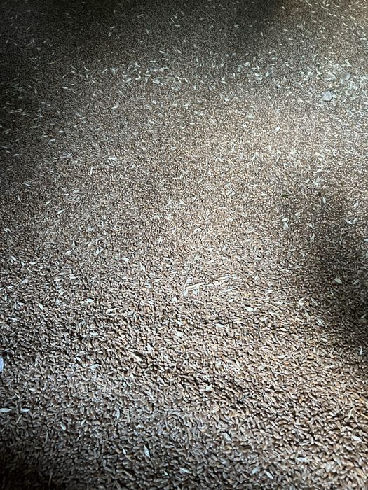 Vand grau recolatat in iulie 2025