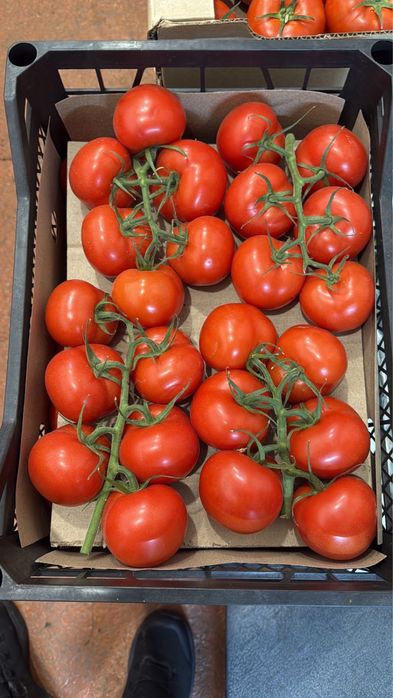 Овощи фрукты по оптовым ценам, басплатная доставка