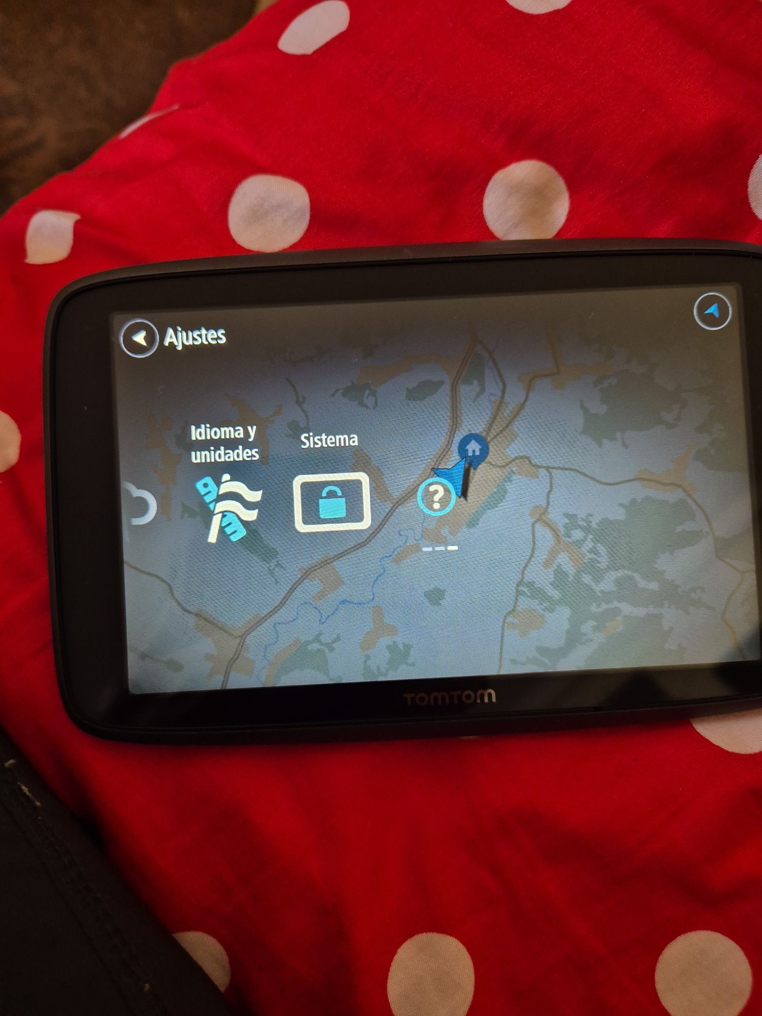 GPS TomTom, profesional