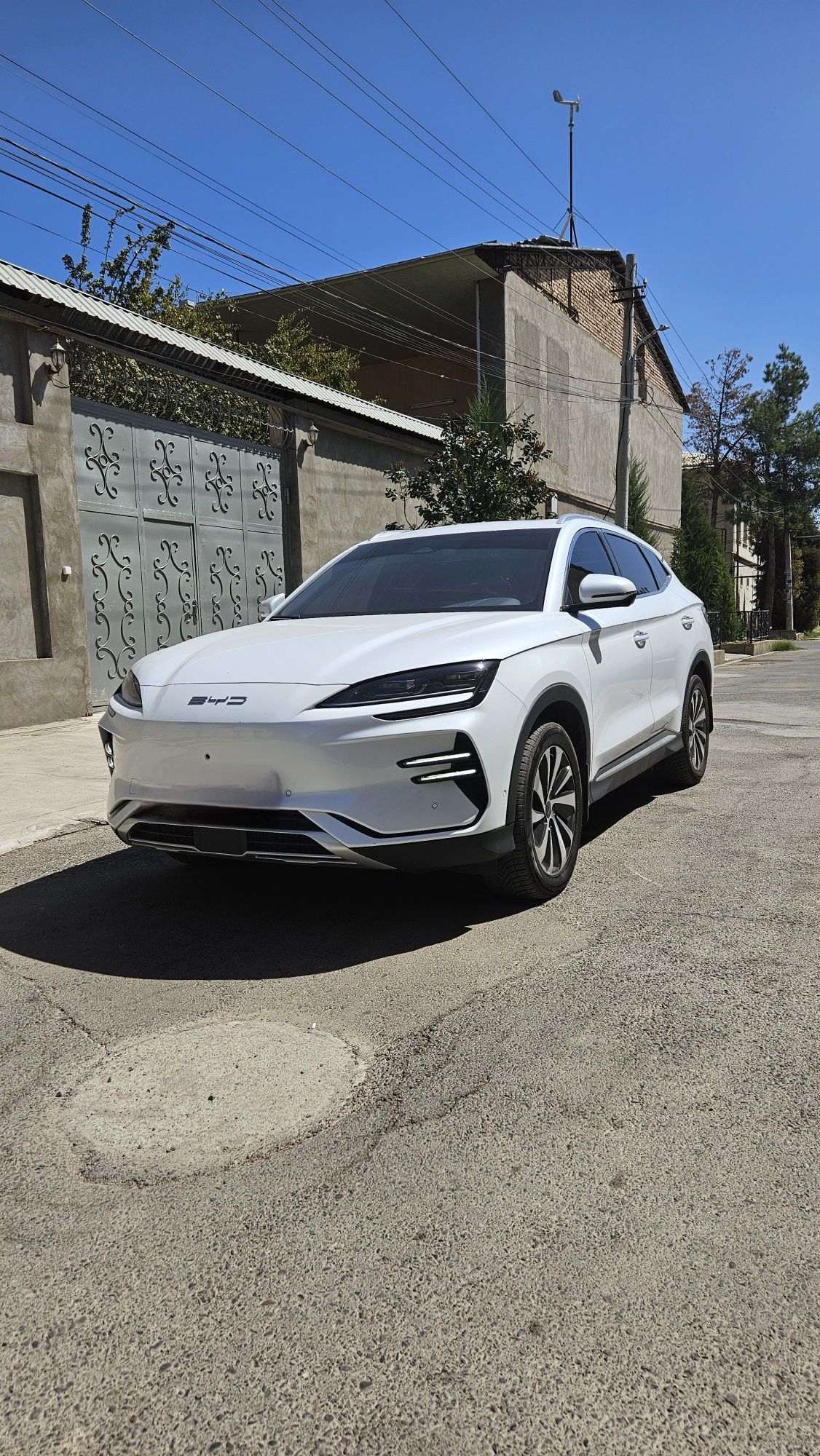 BYD Song Champion Honor edition