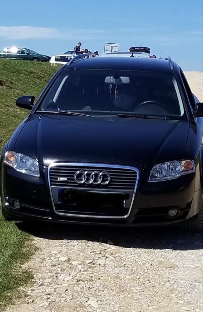 Audi a4 b7 accesori (bara fata, bandou usi)