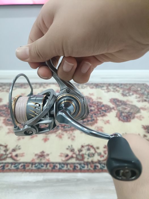 Норм состояние норм для новичка