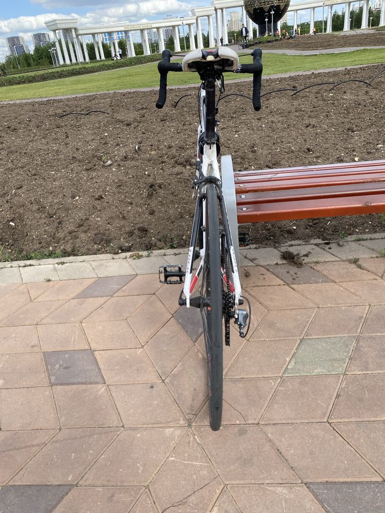 Trek alpfa 1.1 one series