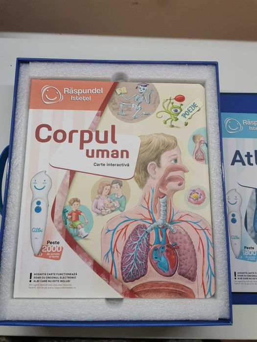 Pachet carte si creion Raspundel Istetel