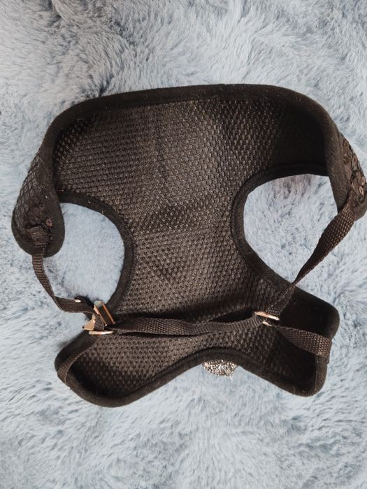 Ham câine cu inserții arginții