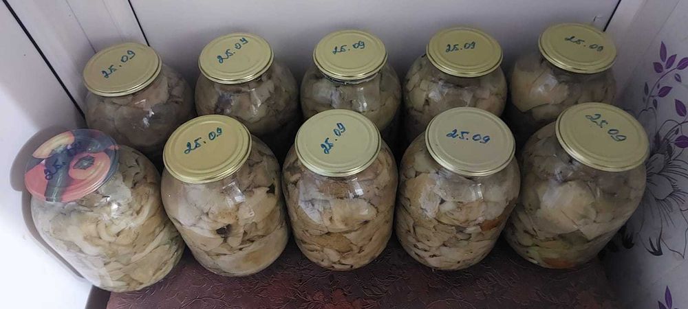 Продам солённые грибы - грузди.