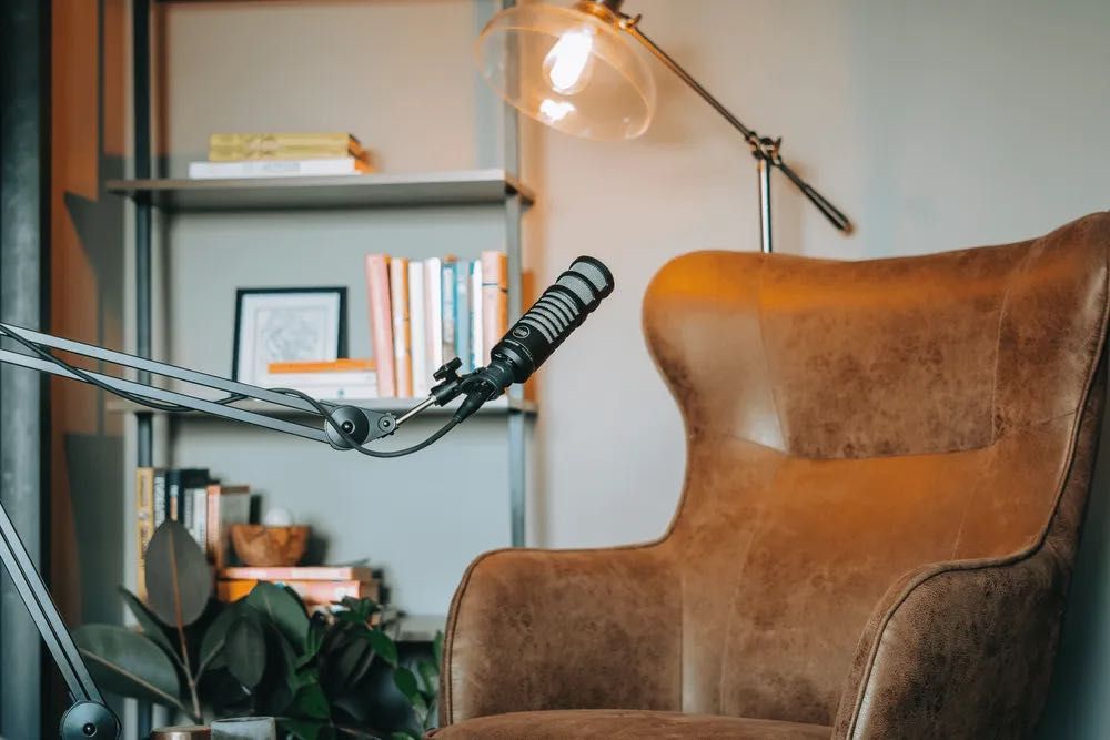 512 Audio Limelight XLR Динамический микрофон Dynamic Vocal Microphone