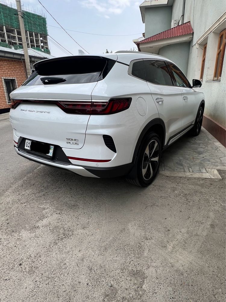 Byd song dmi awd