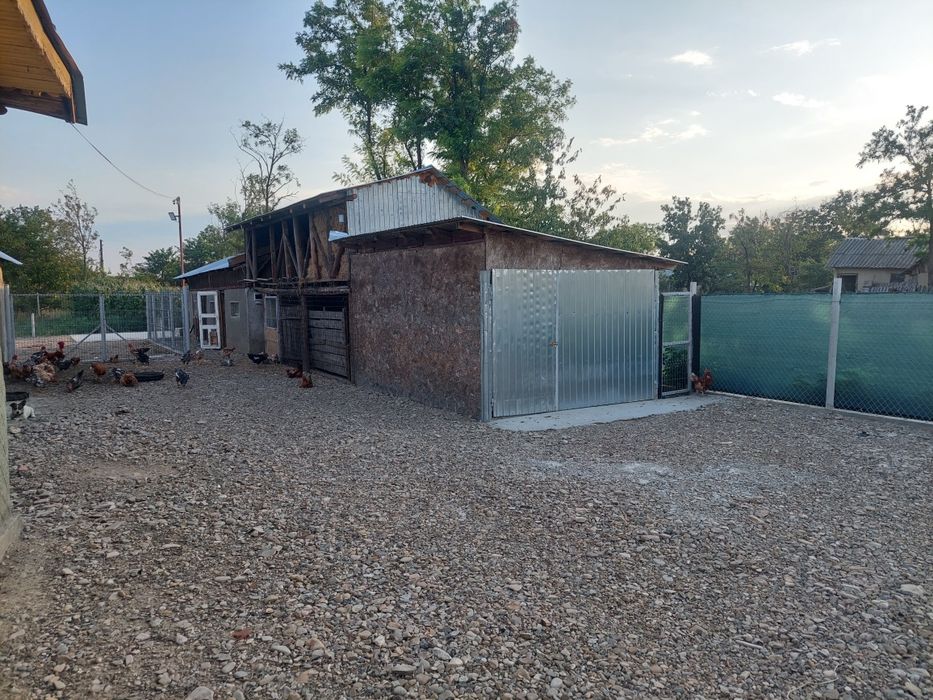 Casa de vacanta stare buna