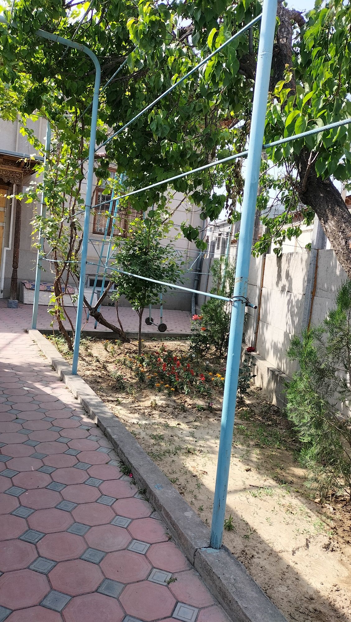 УчтепаБир соту 3хона домдан яхши