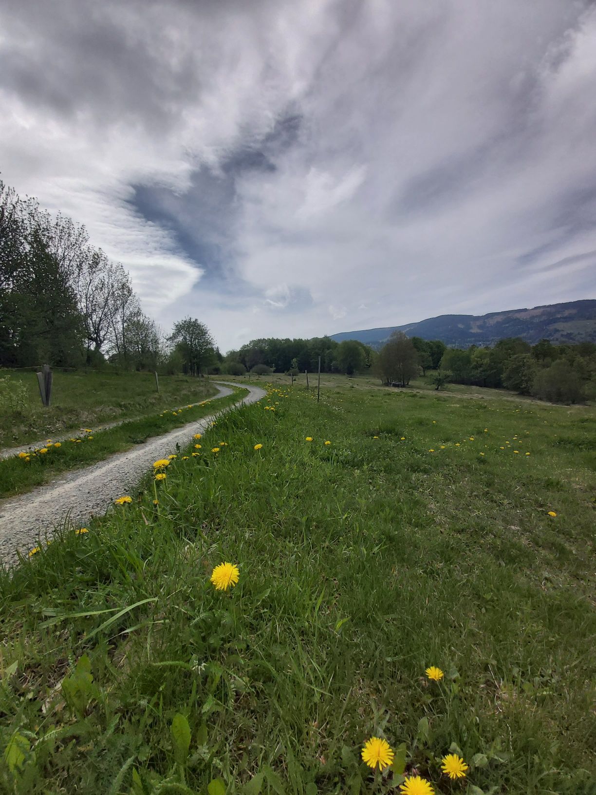 Teren de vânzare Munții Vlădeasa