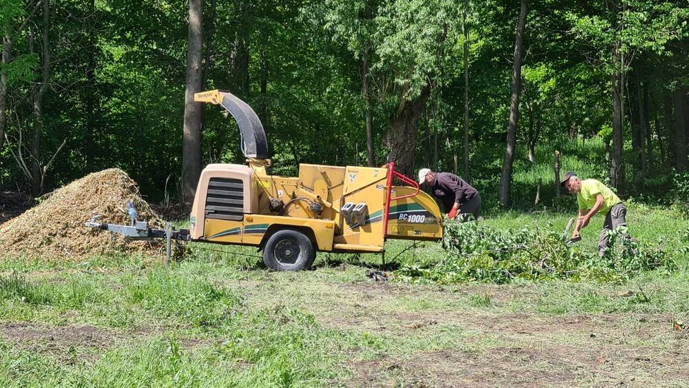 Inchiriere utilaj Excavator, Bobcat, Basculanta, Tocator vegetale