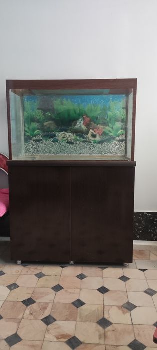 Akvarium sotiladi 185 L.