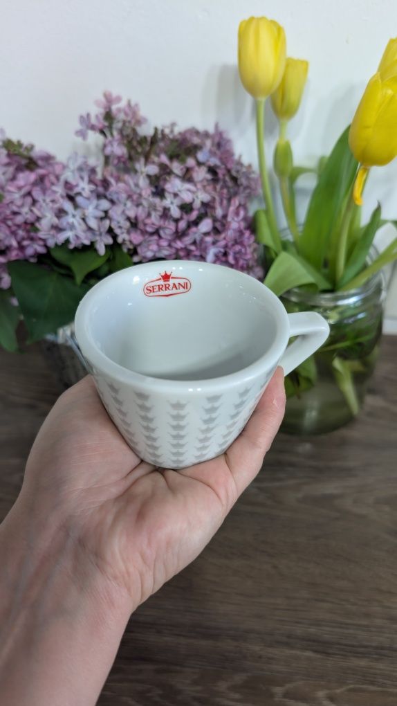 Set cesti cu farfurie pentru cafea