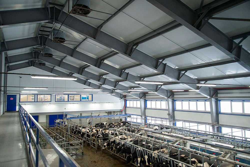 Виды систем вентиляции для объектов аграрного ,промышленного комплекса