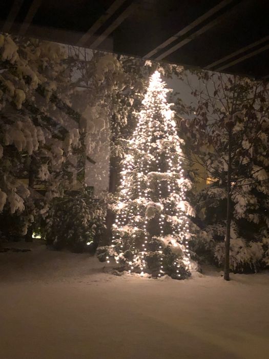 instalație luminoasă de Crăciun