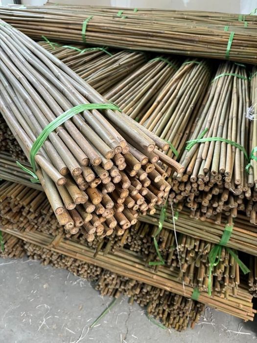 Колчета за укрепване на домати от БАМБУК естествени НА ПРОМОЦИЯ!