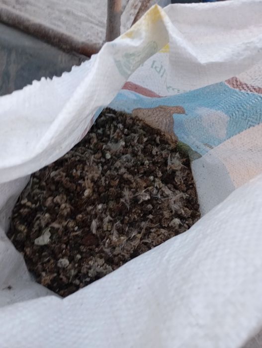 Помёт перепелиный , отдам бесплатно