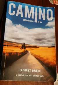 Camino - Veronica Dragoi