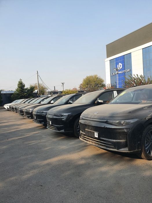 Leapmotor C16 Dop+Opsiya 2