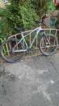 Mountain bike Whistle Patwin 29