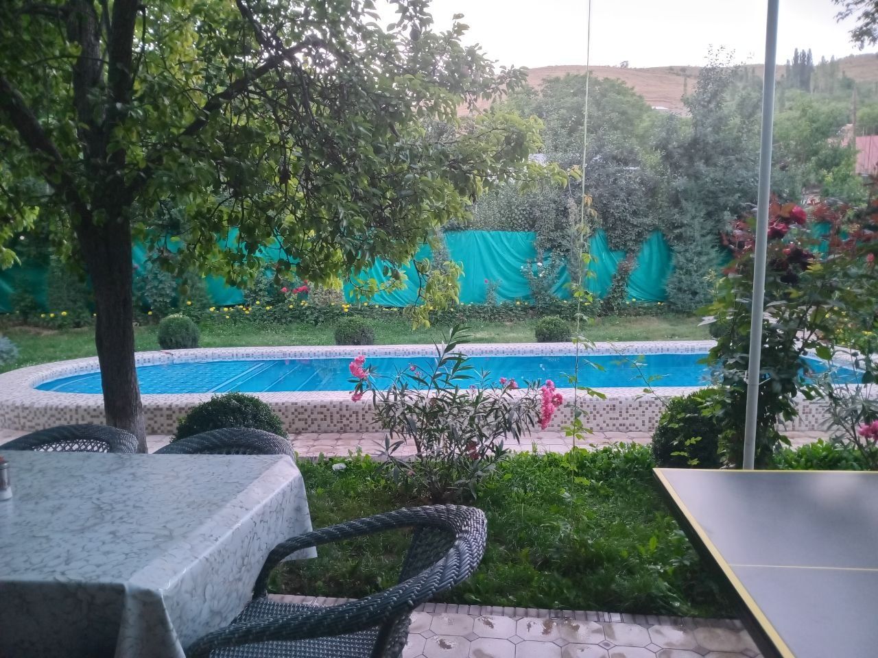 Dacha bor sijjak
